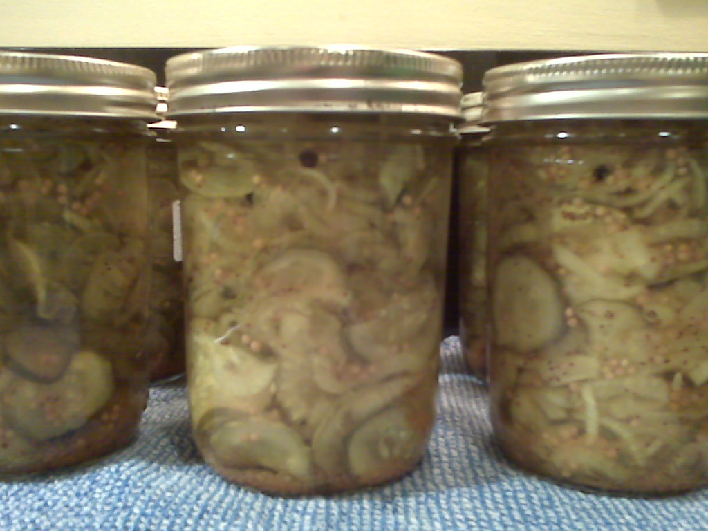 Spreading the love of pickles, one jar at a time Art Scatter