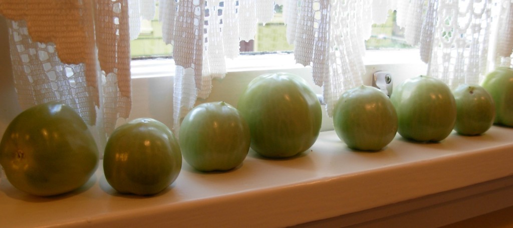 Green tomatoes