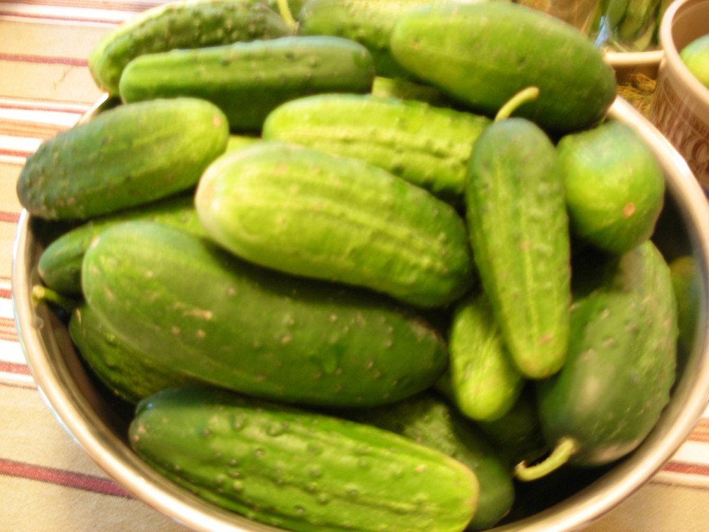 Virgin Cukes